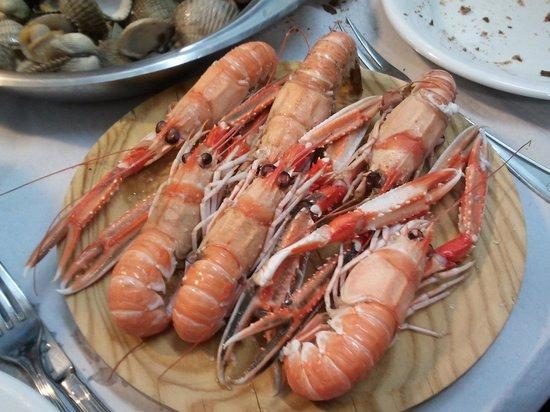 Mariscomania
