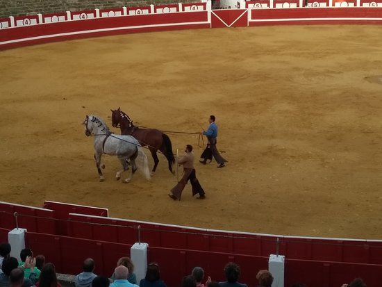 Plaza de Toros Los Rosales