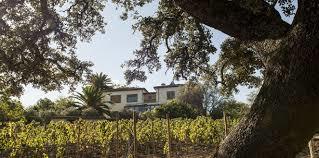Bodega Kieninger