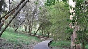 el Bosque dos Veciños