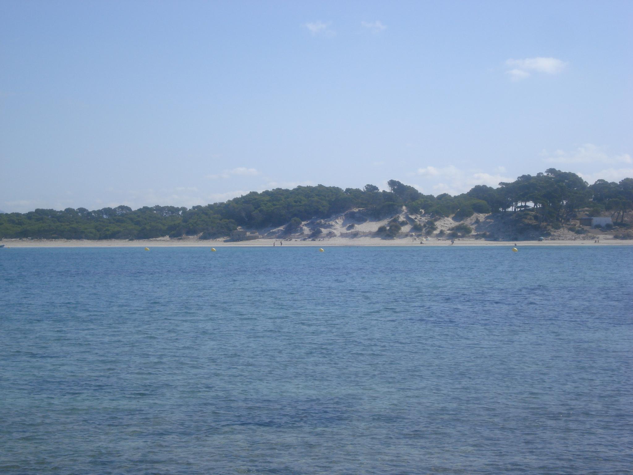 Es Carbó