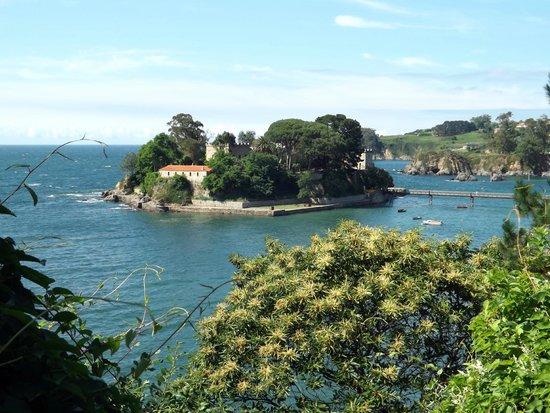 la Isla de Santa Cruz