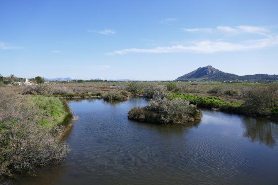 la Reserva Natural de S'Albufereta