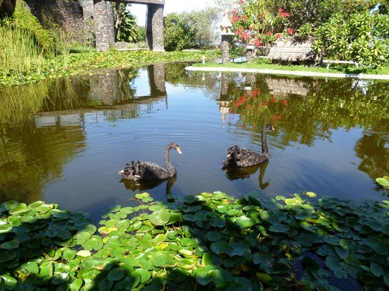 el Jardín Acuático